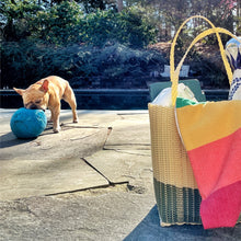 Load image into Gallery viewer, BEACH & PICNIC BLANKET - BEIGE PDA